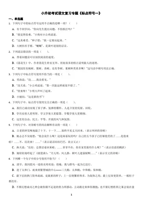 小升初语文复习专题《标点符号1》练习及答案