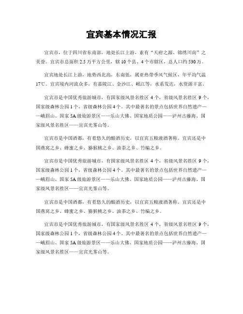 宜宾基本情况汇报