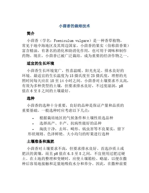 小茴香的栽培技术