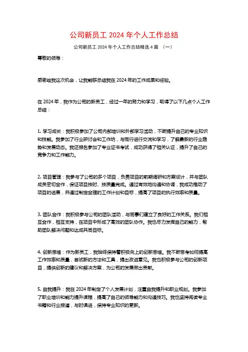 公司新员工2024年个人工作总结4篇
