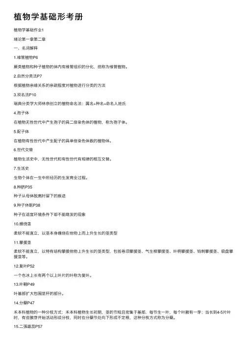 植物学基础形考册