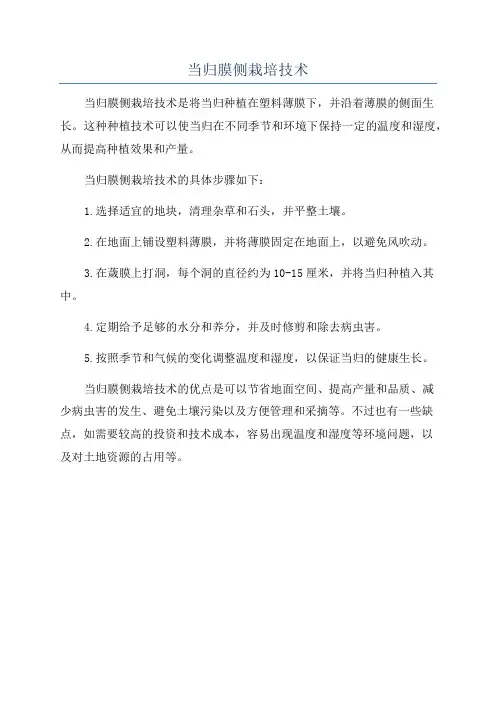 当归膜侧栽培技术