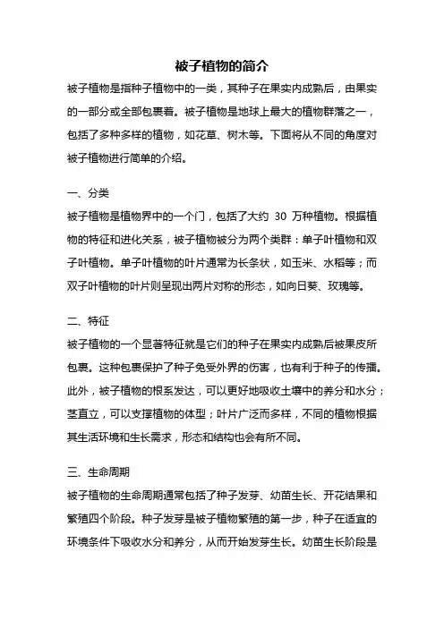 被子植物的简介