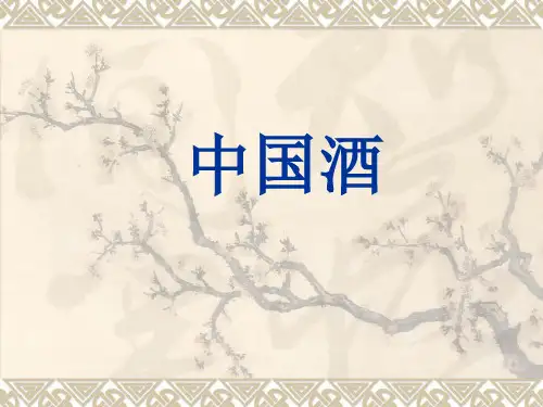中国文化概论中国酒PPT课件