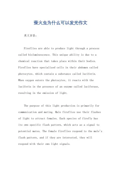 萤火虫为什么可以发光作文