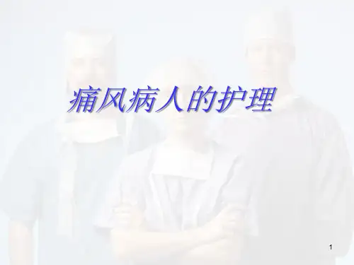 痛风病人的护理精品PPT课件