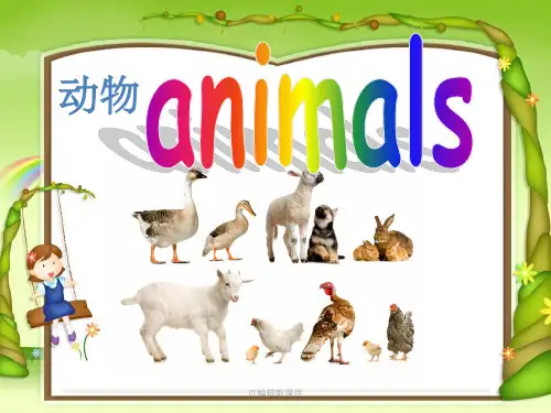 小学英语动物专题ppt课件