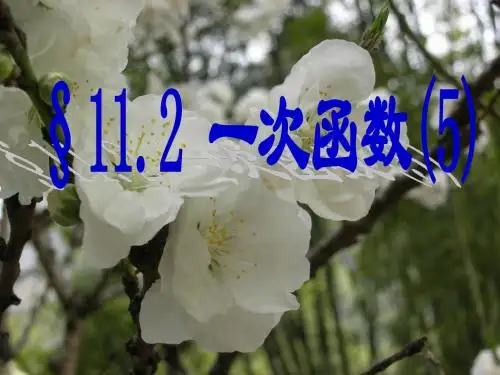 新课标八年级数学《待定系数法确定一次函数的表达式》课件