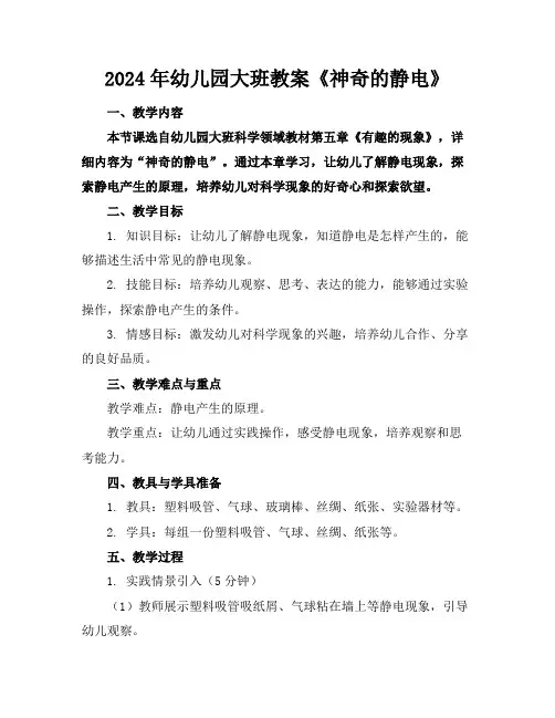 2024年幼儿园大班教案《神奇的静电》