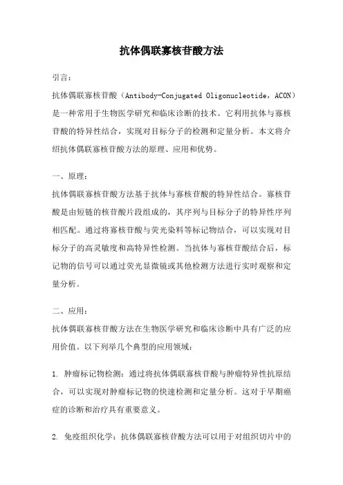 抗体偶联寡核苷酸方法