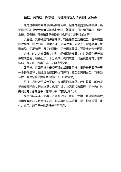 金桂、沉香桂、四季桂、丹桂如何区分？各有什么特点