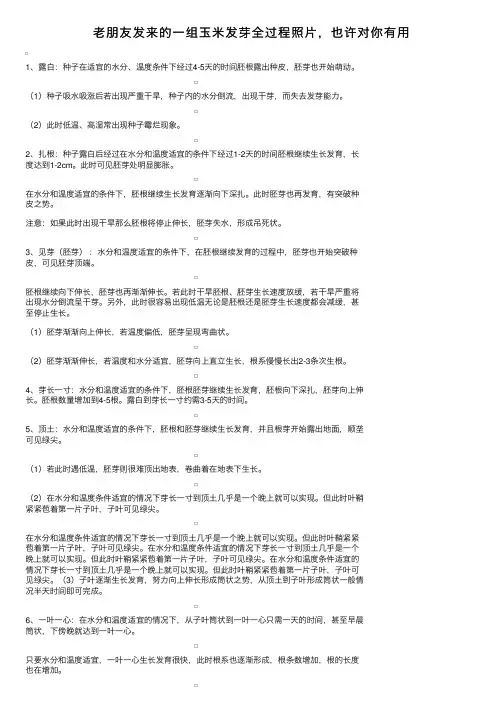 老朋友发来的一组玉米发芽全过程照片，也许对你有用
