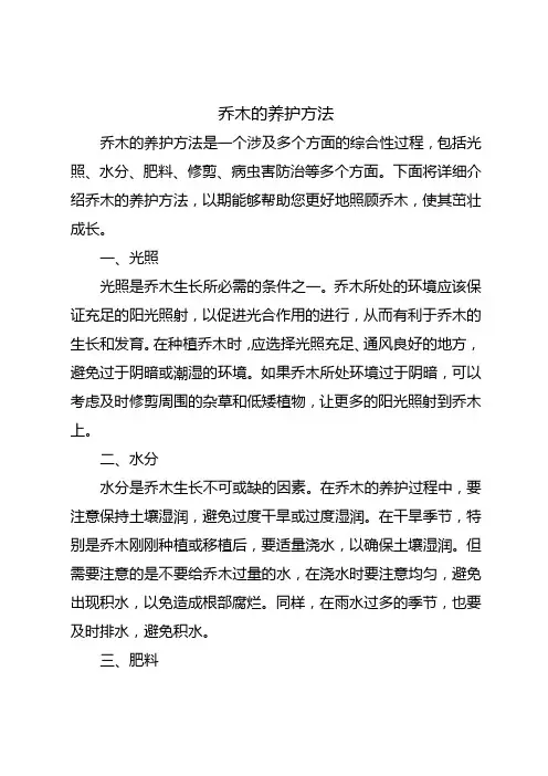 乔木的养护方法