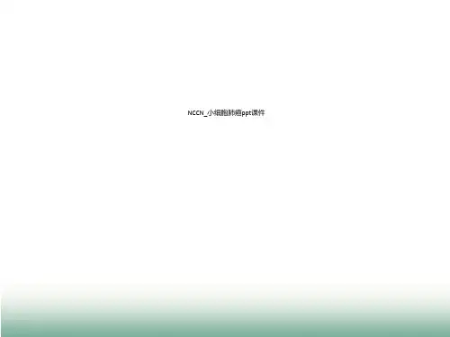 NCCN_小细胞肺癌ppt课件