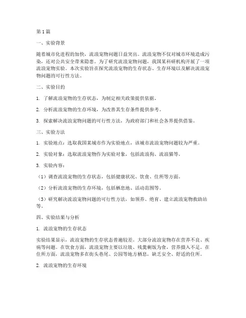 流浪宠物实验报告总结(3篇)