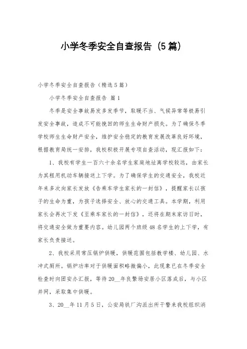 小学冬季安全自查报告(5篇)