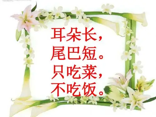 狮子和兔子教学PPT