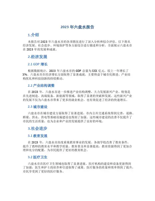 2023年六盘水报告