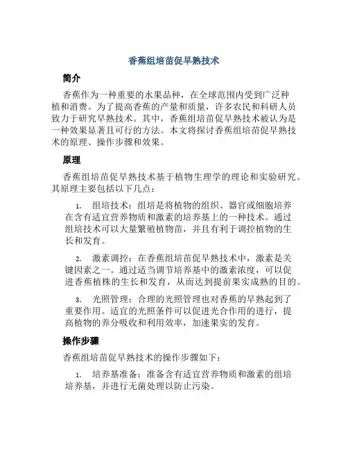 香蕉组培苗促早熟技术