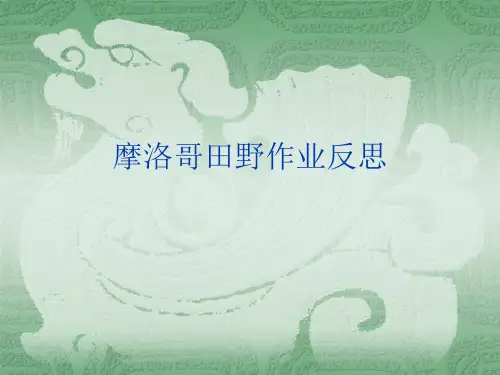 摩洛哥田野作业反思