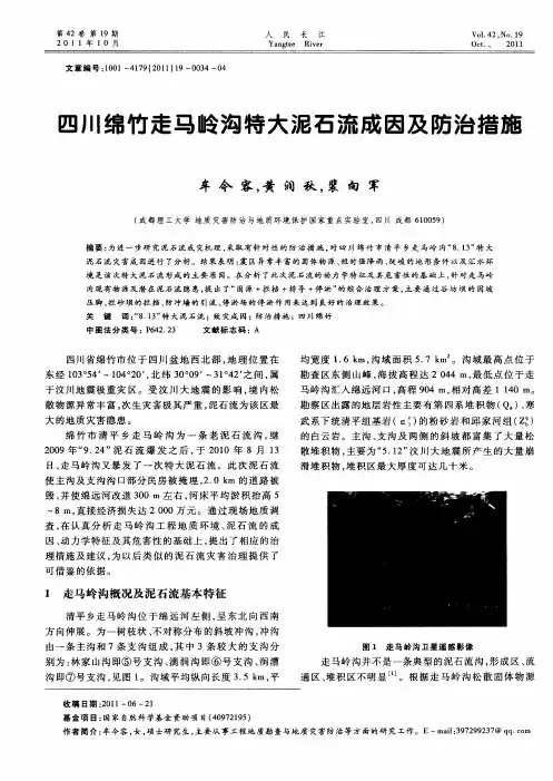 四川绵竹走马岭沟特大泥石流成因及防治措施