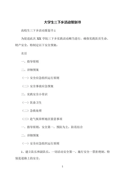 大学生三下乡活动策划书
