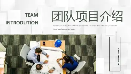 项目竞赛团队介绍优势展示团队分工管理与建设培训PPT模板课件
