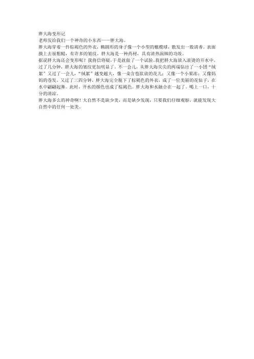 胖大海变形记