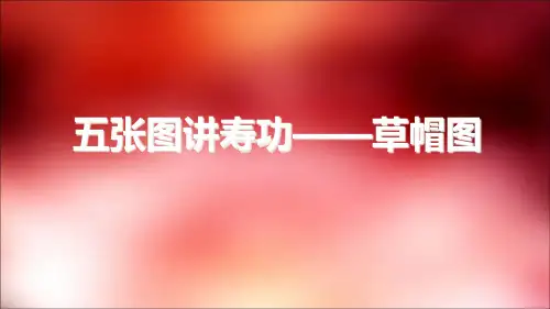 五张图讲寿功——草帽图