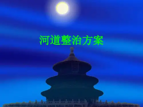 河道整治方案的PPT