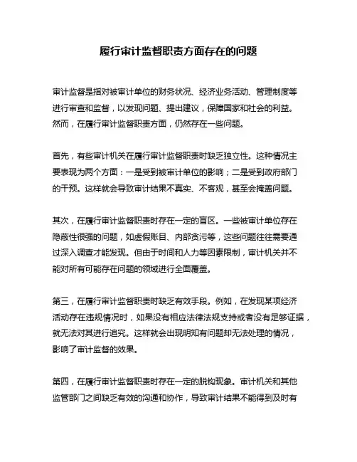 履行审计监督职责方面存在的问题