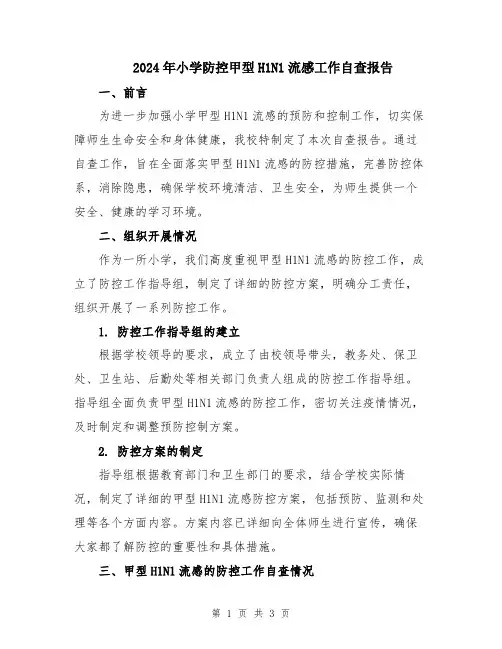 2024年小学防控甲型H1N1流感工作自查报告