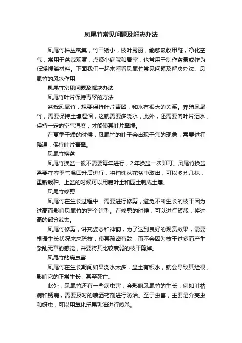 凤尾竹常见问题及解决办法
