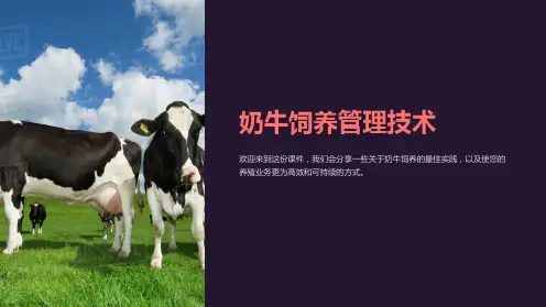 《奶牛饲养管理技术》课件