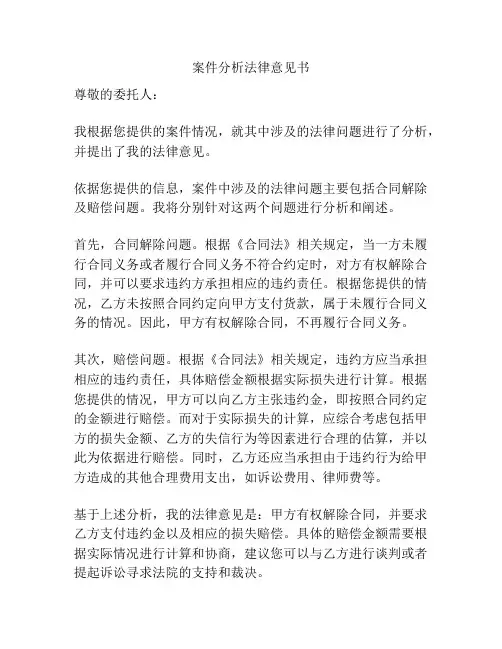 案件分析法律意见书
