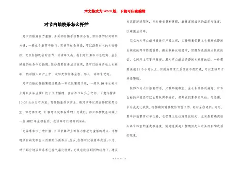 对节白蜡枝条怎么扦插