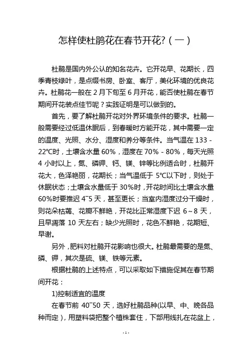 怎样使杜鹃花在春节开花-(一)