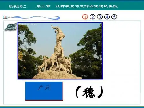 以种植业为主的农业地域类型 PPT课件 21 人教课标版