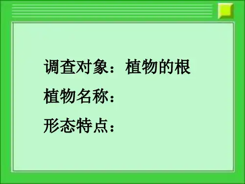 冀少版七年级生物上册第3章第1节在实验室里观察植物(共19张PPT)