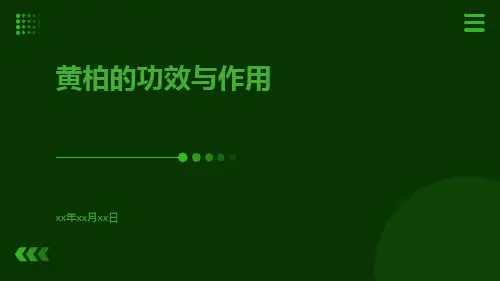 黄柏的功效与作用