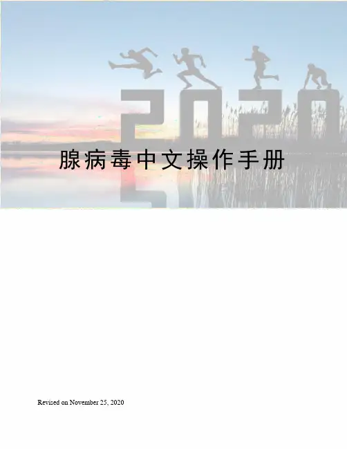 腺病毒中文操作手册