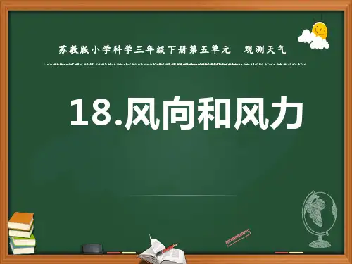 新苏教版小学科学三年级下册精品课件18.风向和风力