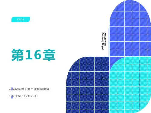 北大投资学课件第16章不确定条件下的产业投资决策