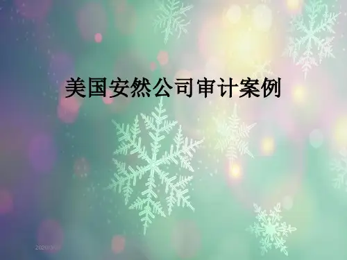 美国安然公司审计案例