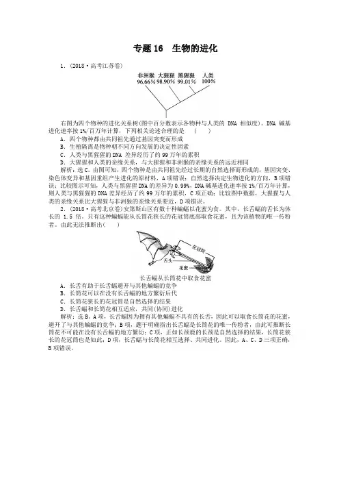 2019年高考生物真题集锦【专题16】生物的进化(含答案)