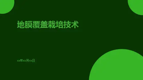地膜覆盖栽培技术