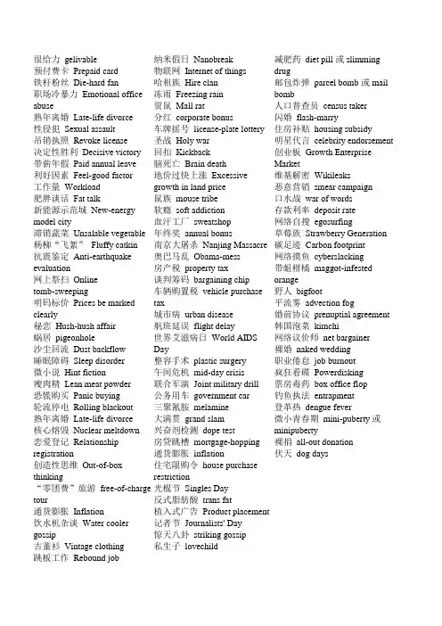 MTI翻译硕士考试常考网络新词13