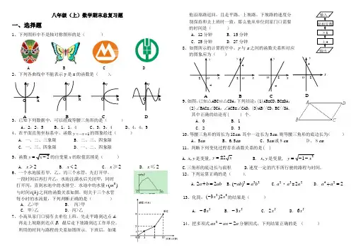 八年级上期数学期末总复习题
