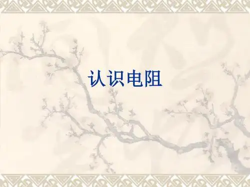 电工电子学电阻的介绍讲解