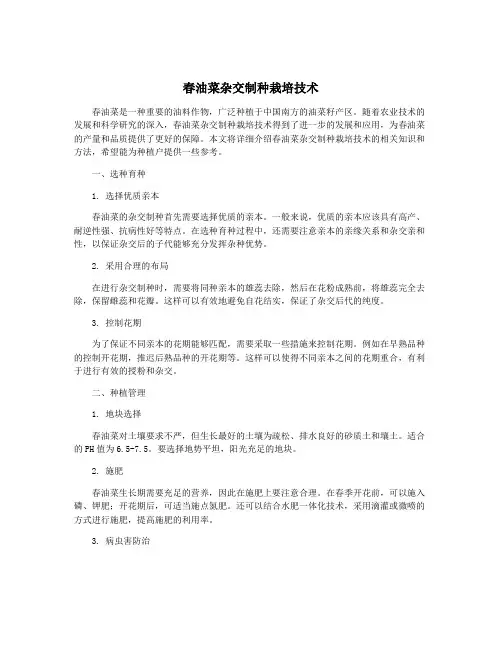 春油菜杂交制种栽培技术